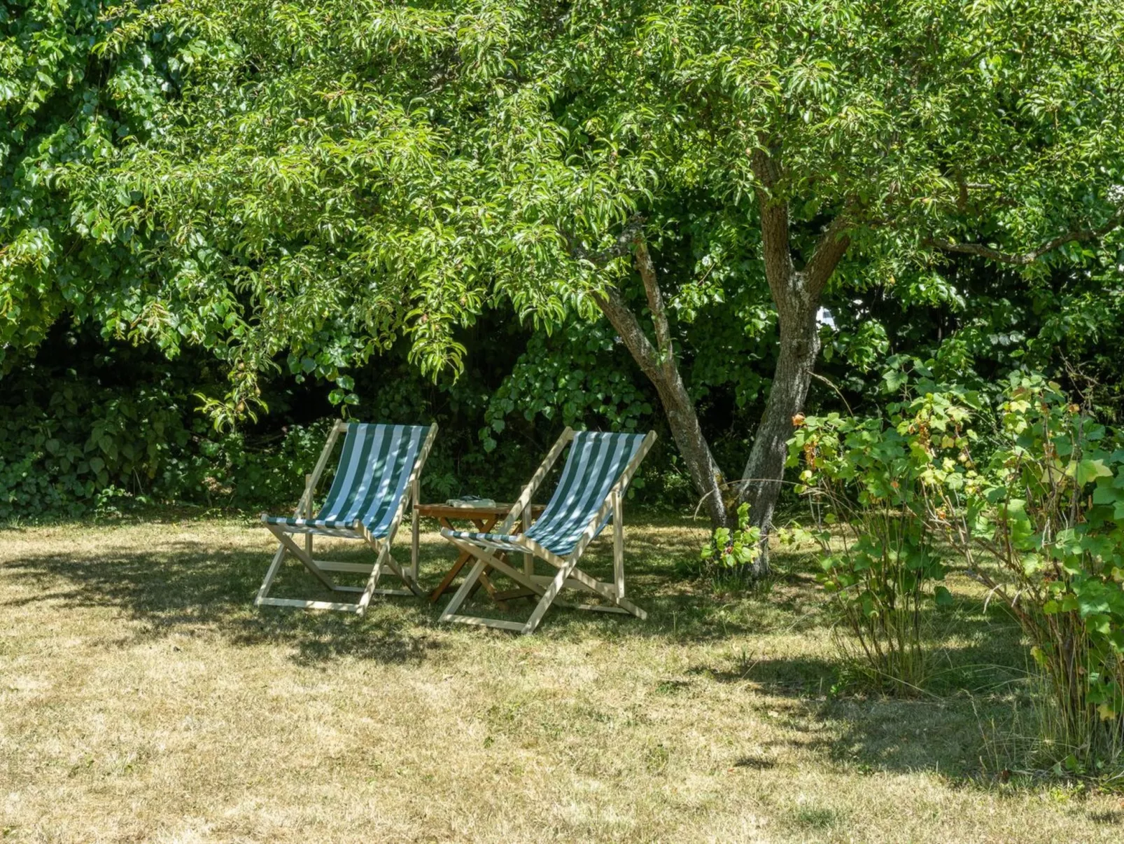 "Elvin" - 2.7km from the sea-Draußen