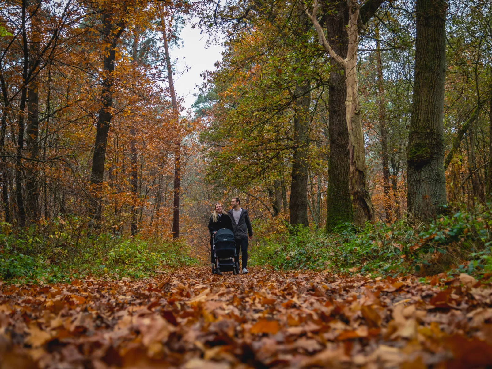 Villa Veluwe Miva 6-Draußen