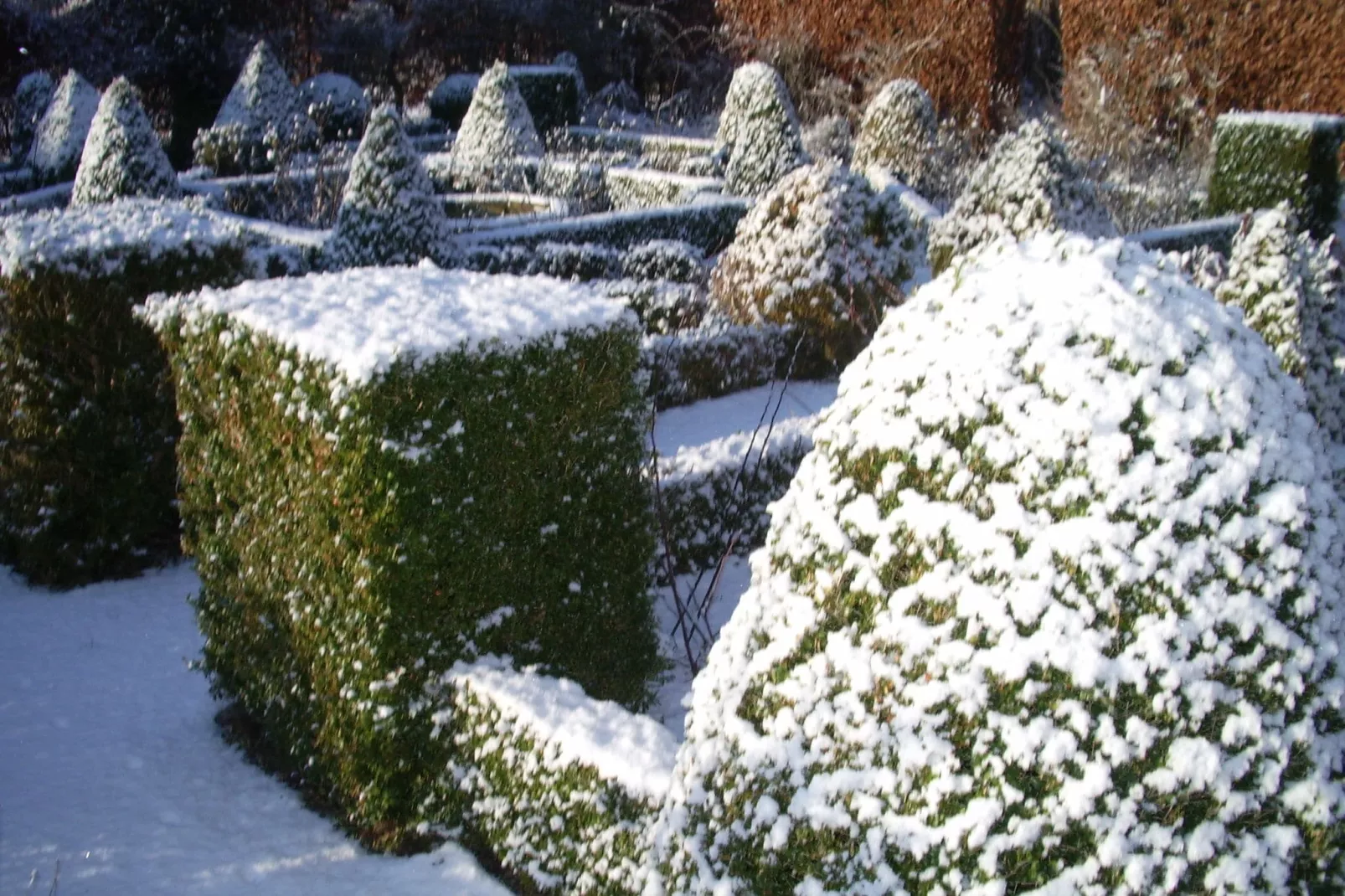 Het Leemhof-Jardin d'hiver