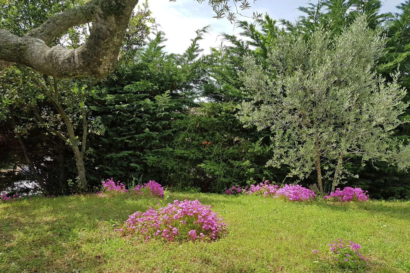 L'Oliveraie-Gardens summer