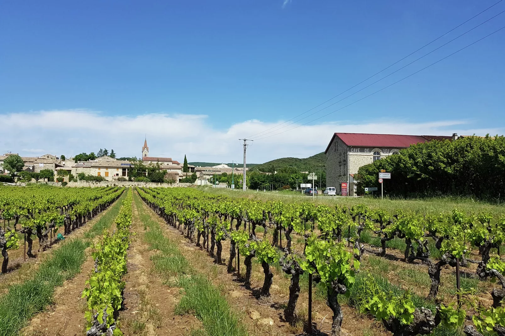 L'Oliveraie-Areas summer 1km