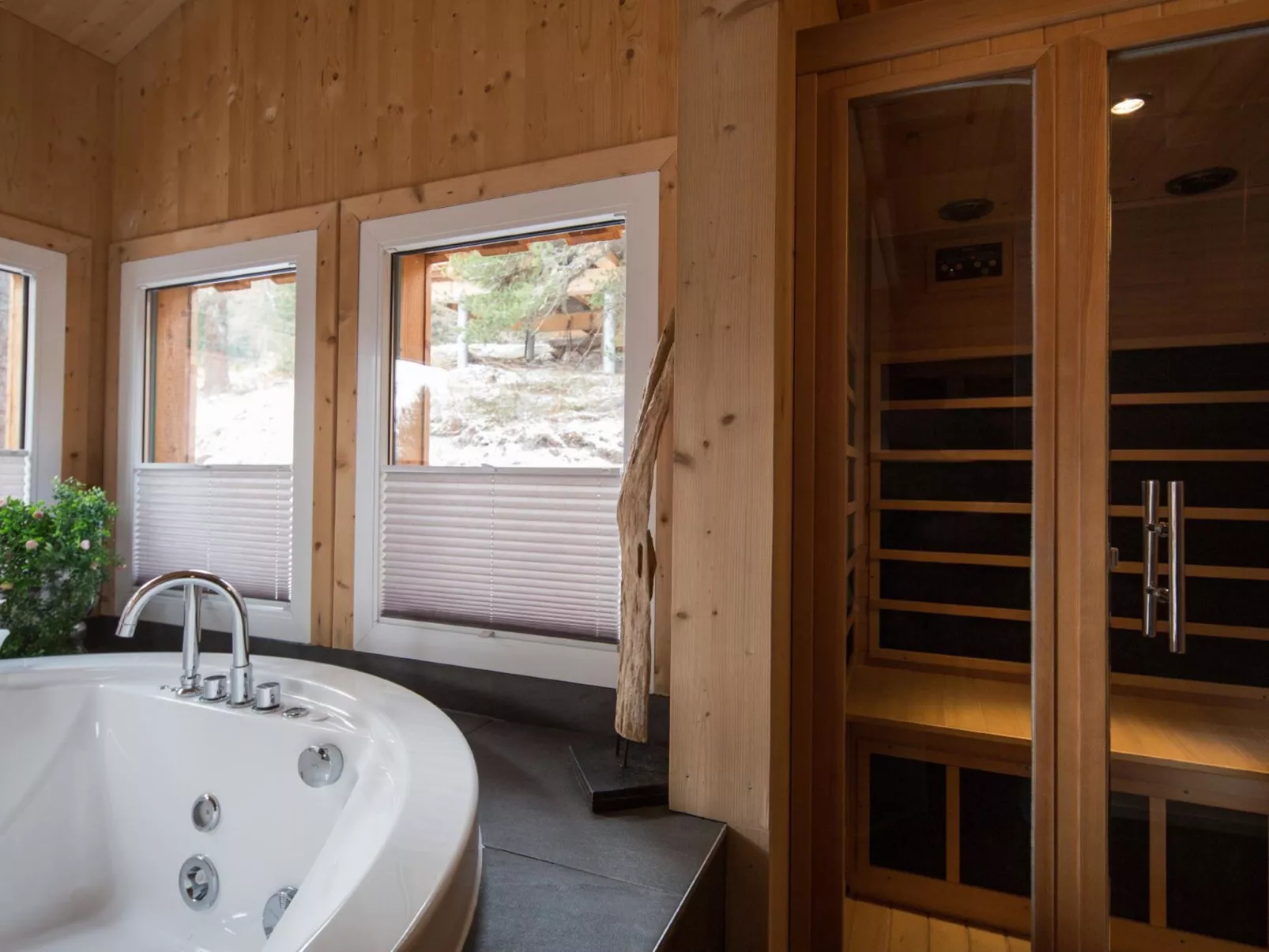 #16 mit IR-Sauna&Sprudelbad innen-Inside