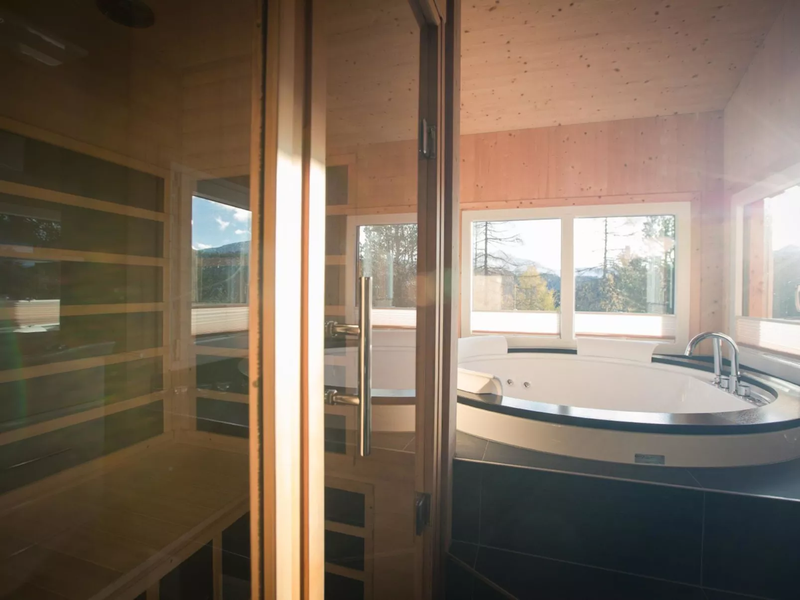 #40 mit IR-Sauna & Sprudelwanne Innen-Inside