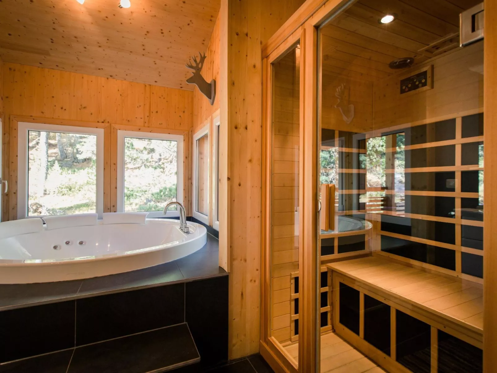 #39 mit IR-Sauna und Sprudelbad Innen-Dedans