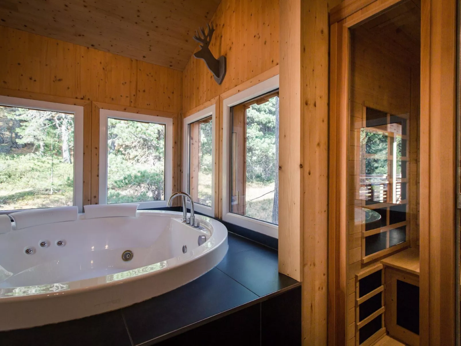 #39 mit IR-Sauna und Sprudelbad Innen-Dedans