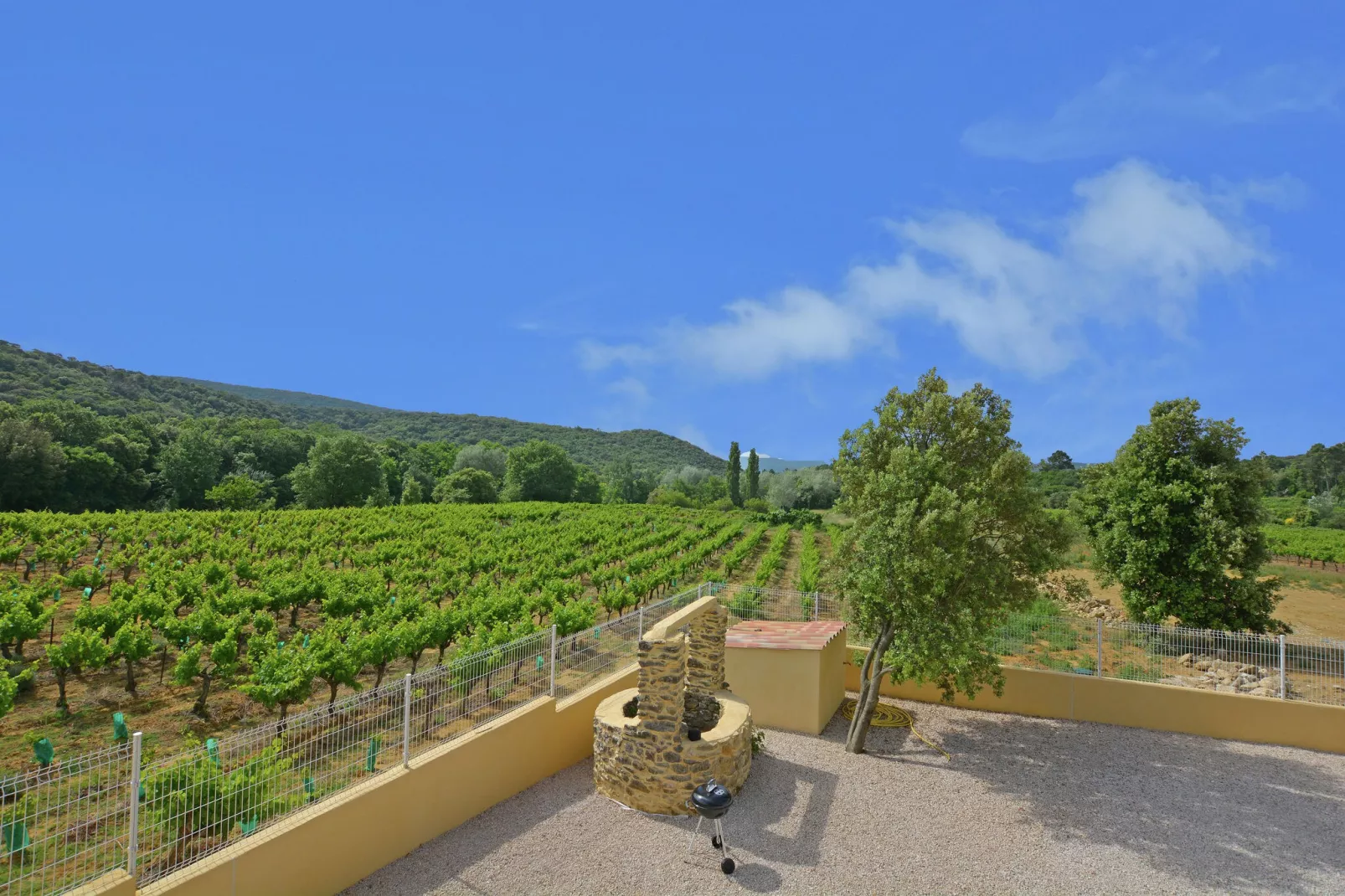 Le Mas-View summer