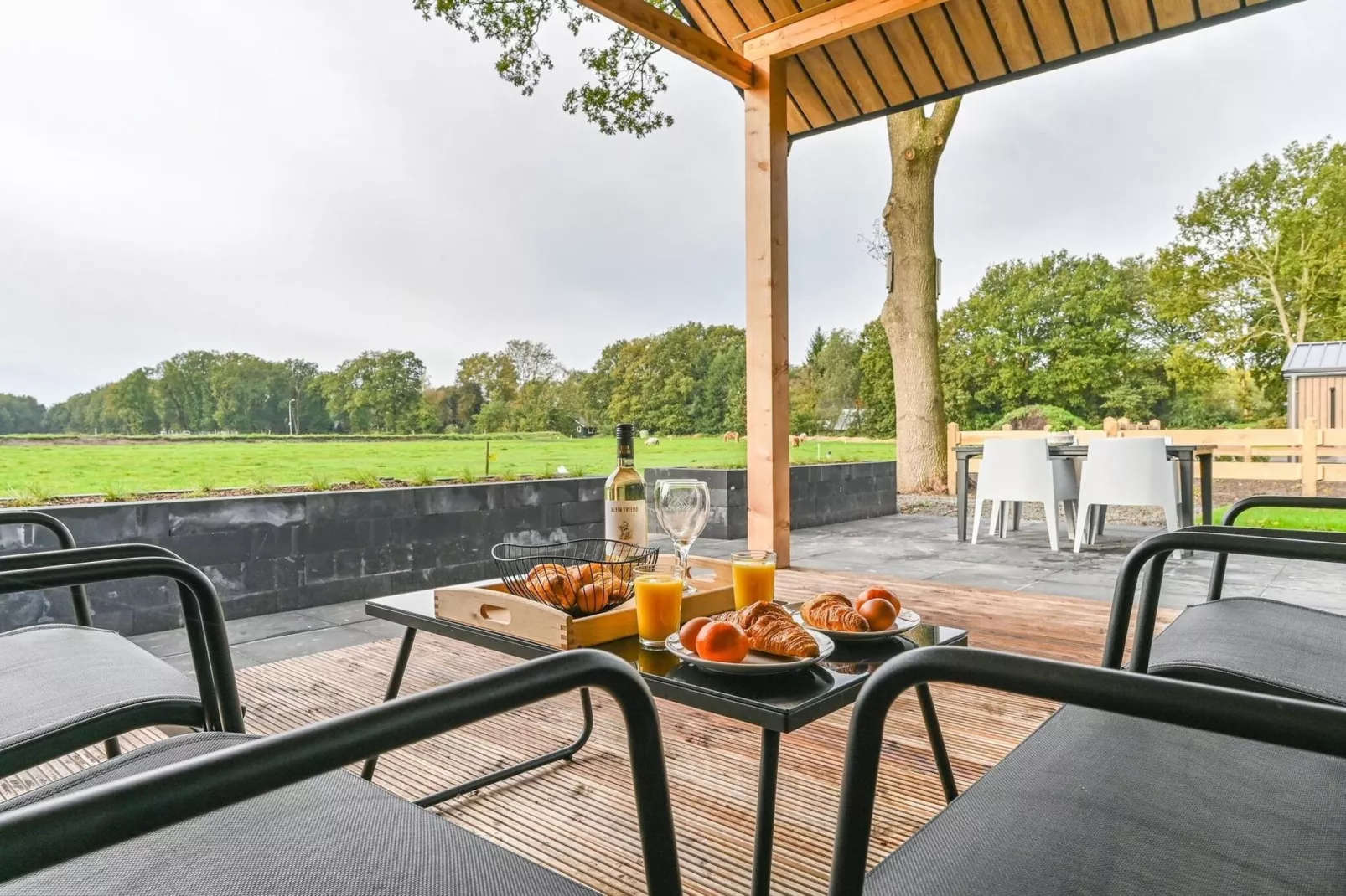 Resort Drentse Weelde 1-Terrassenbalkon