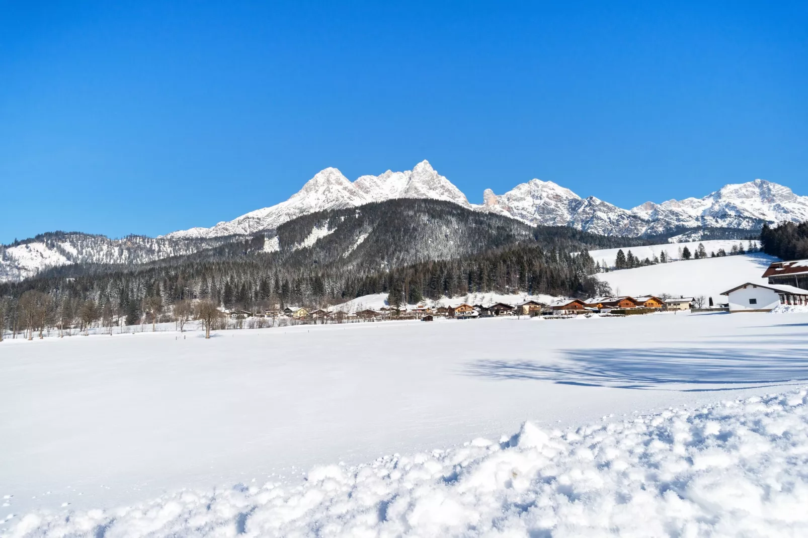 Hoyergut - Apartment-Area winter 1km