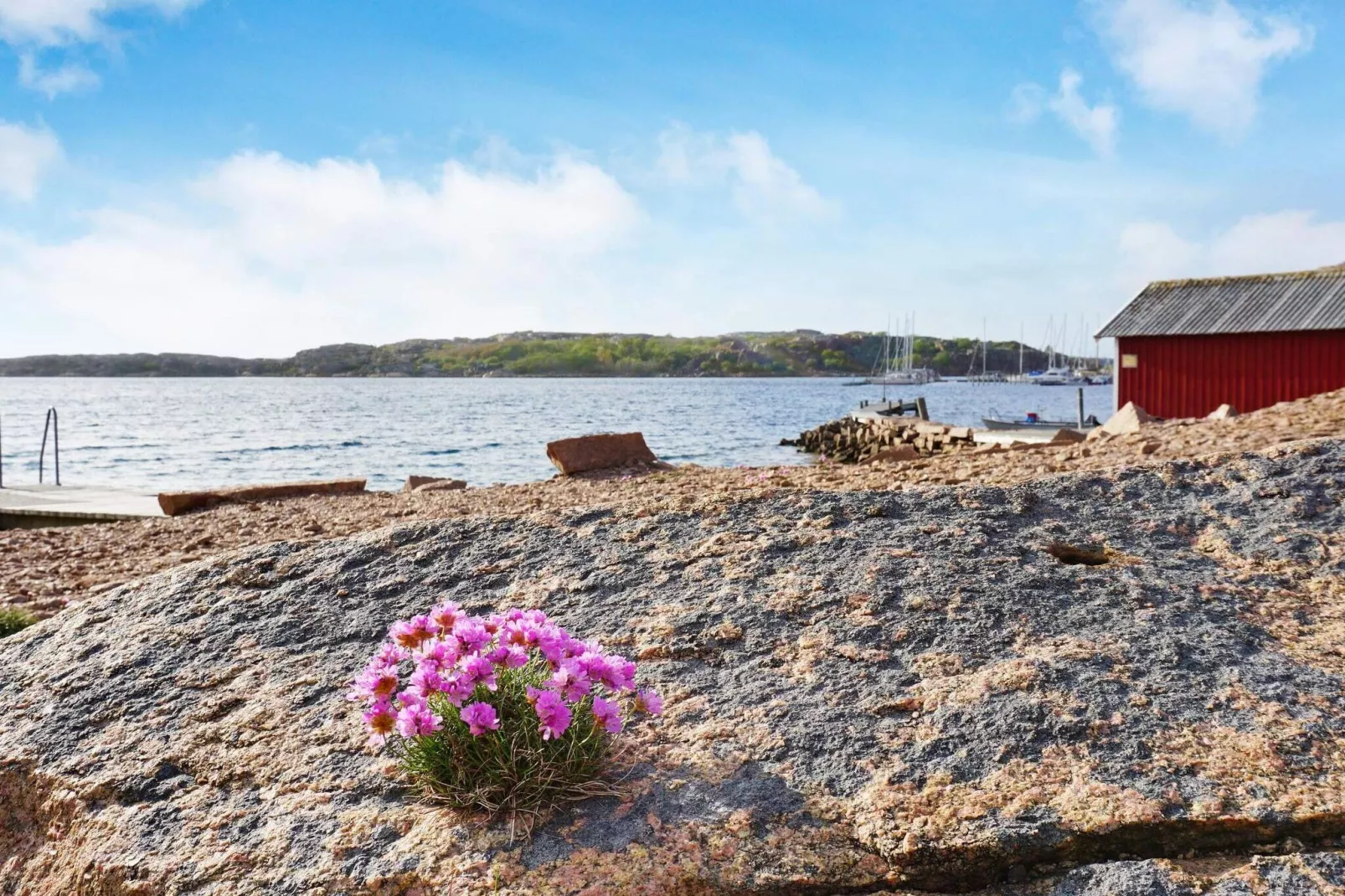 4 star holiday home in Bovallstrand-By Traum-Untagged
