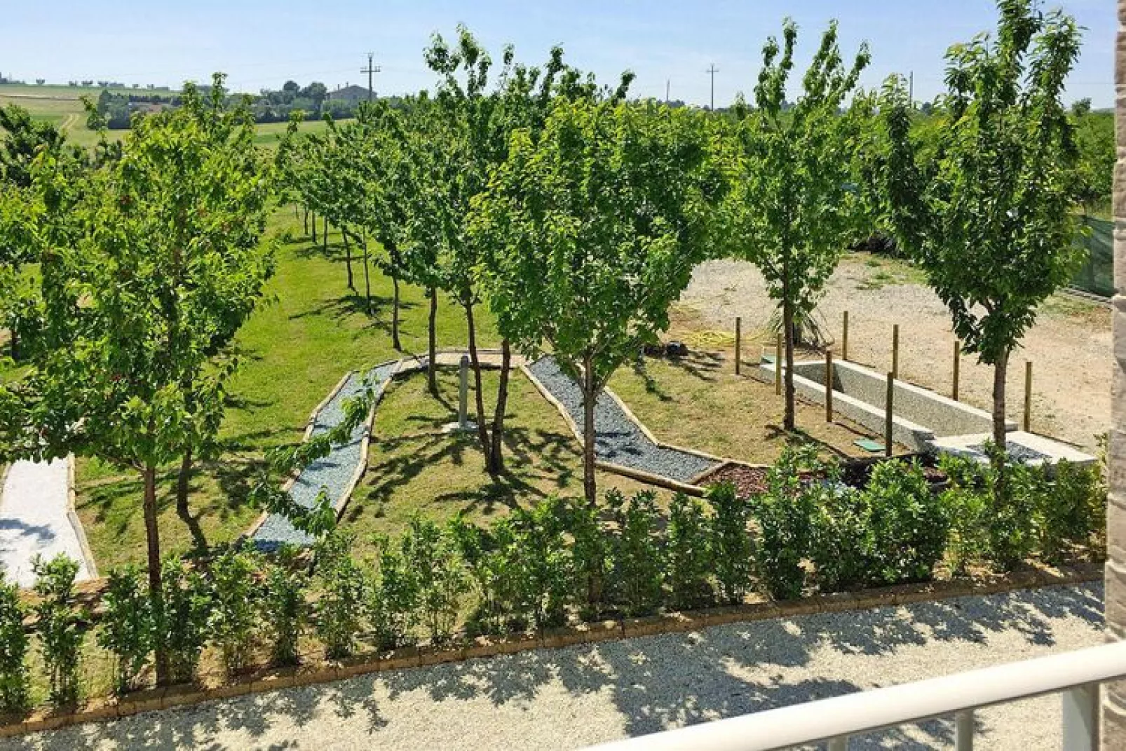 Holiday resort Contea dei Ciliegi Pedaso Typ trilo-trilo-Gardens summer