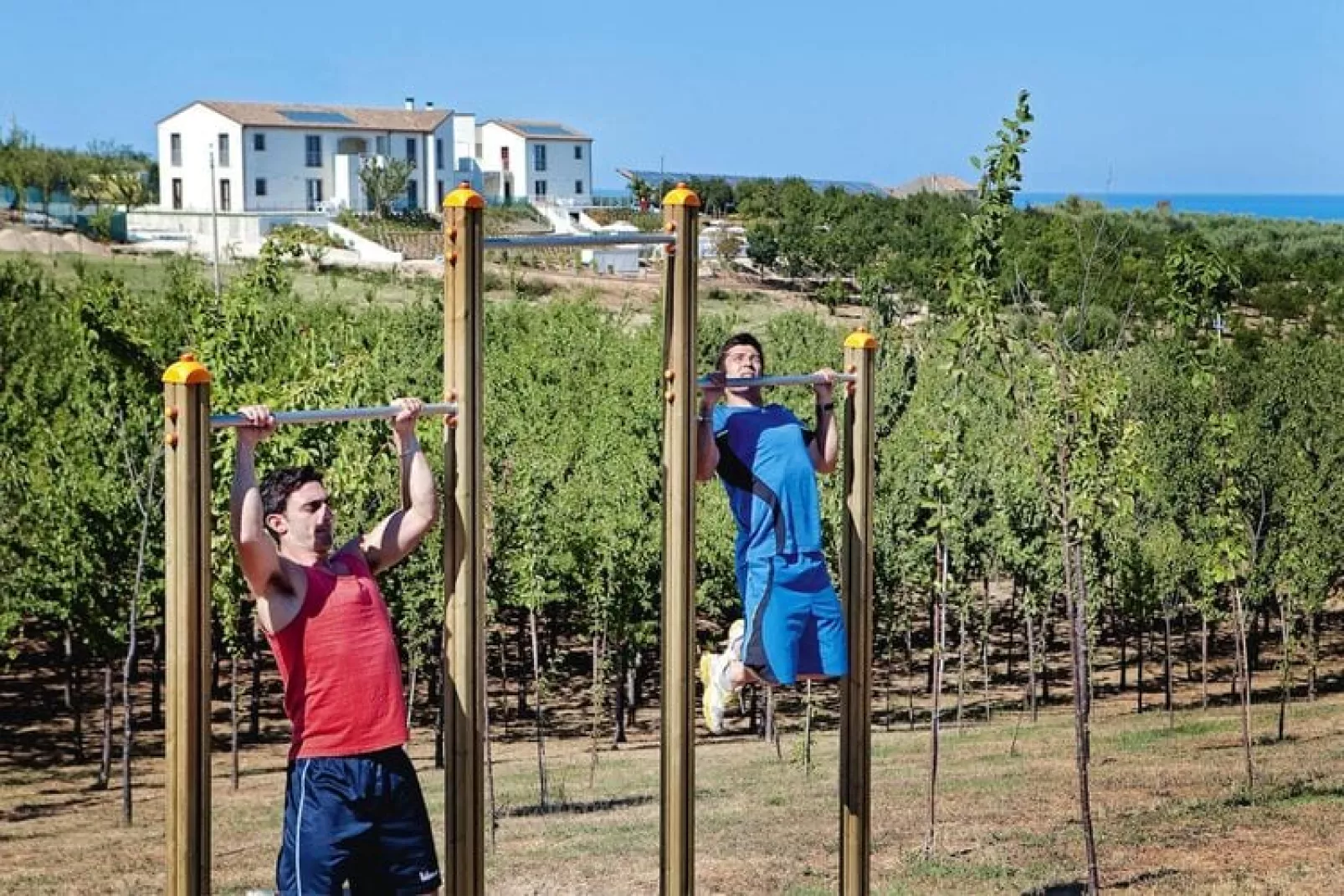 Holiday resort Contea dei Ciliegi Pedaso Typ trilo-trilo-Facilities