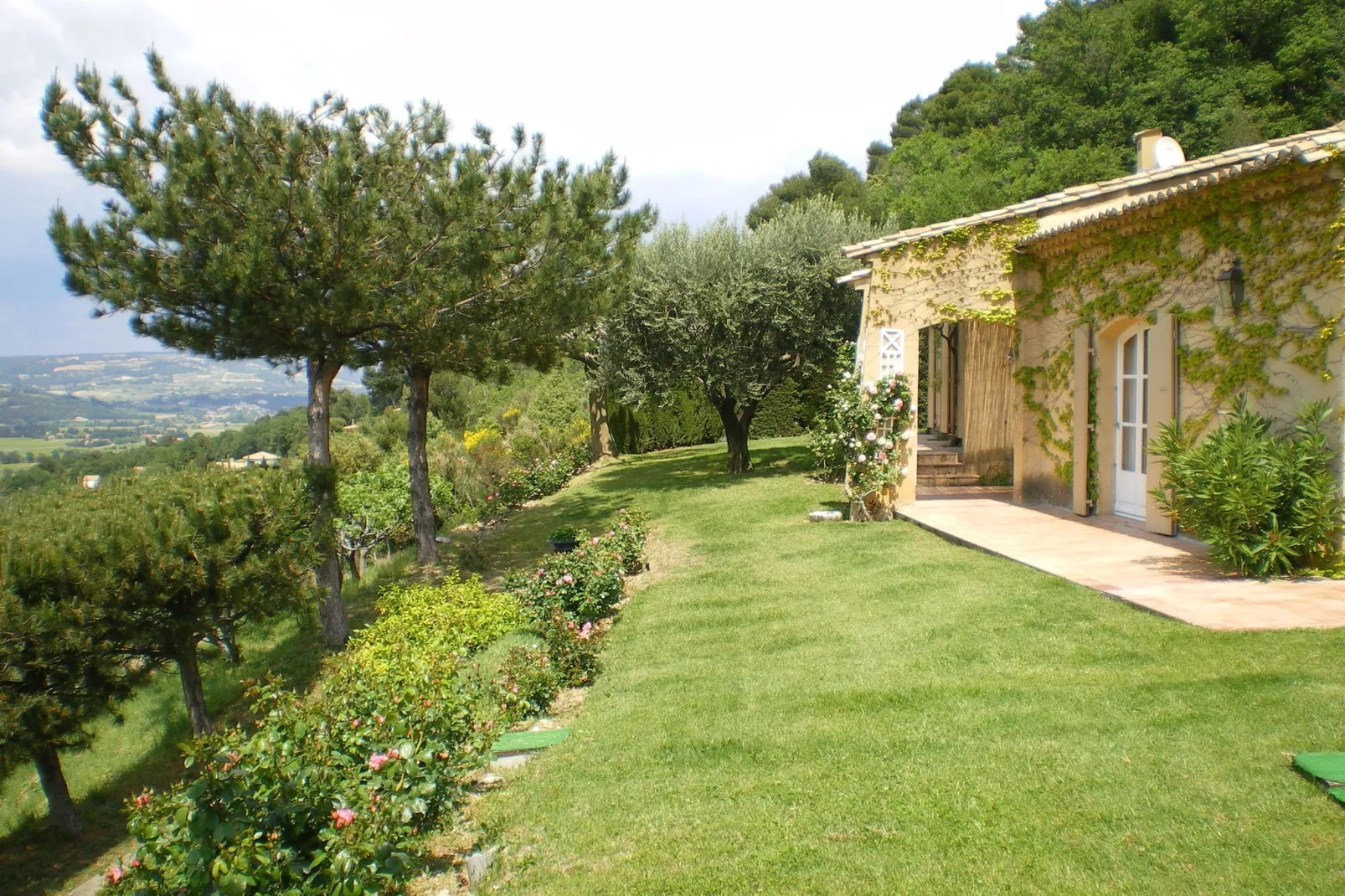 Laurence-Gardens summer