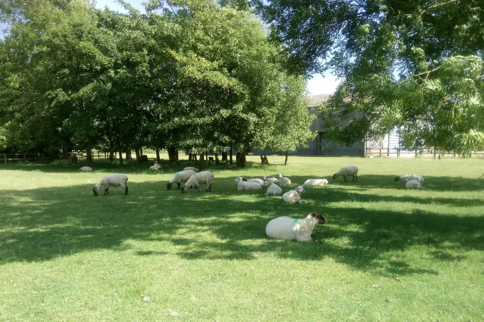 Five Waterings-Areas summer 1km