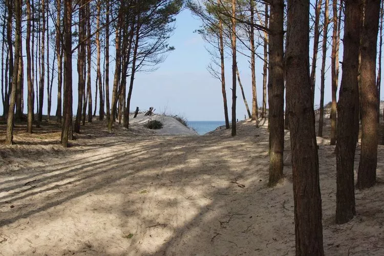 Domki wakacyjne dla 4 osób Mielenko-Areas summer 1km