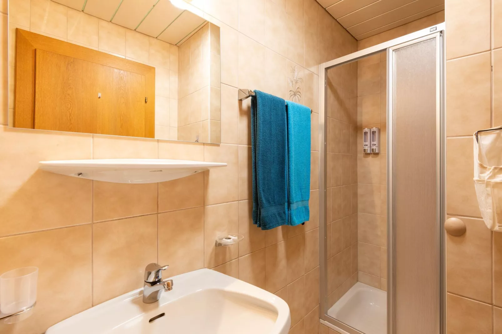 Apart Berglust-Bathroom