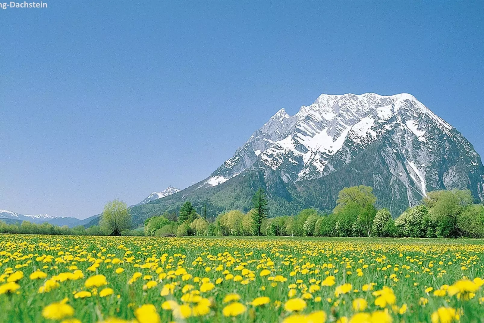 Bergresort Hauser Kaibling 3-Areas summer 1km