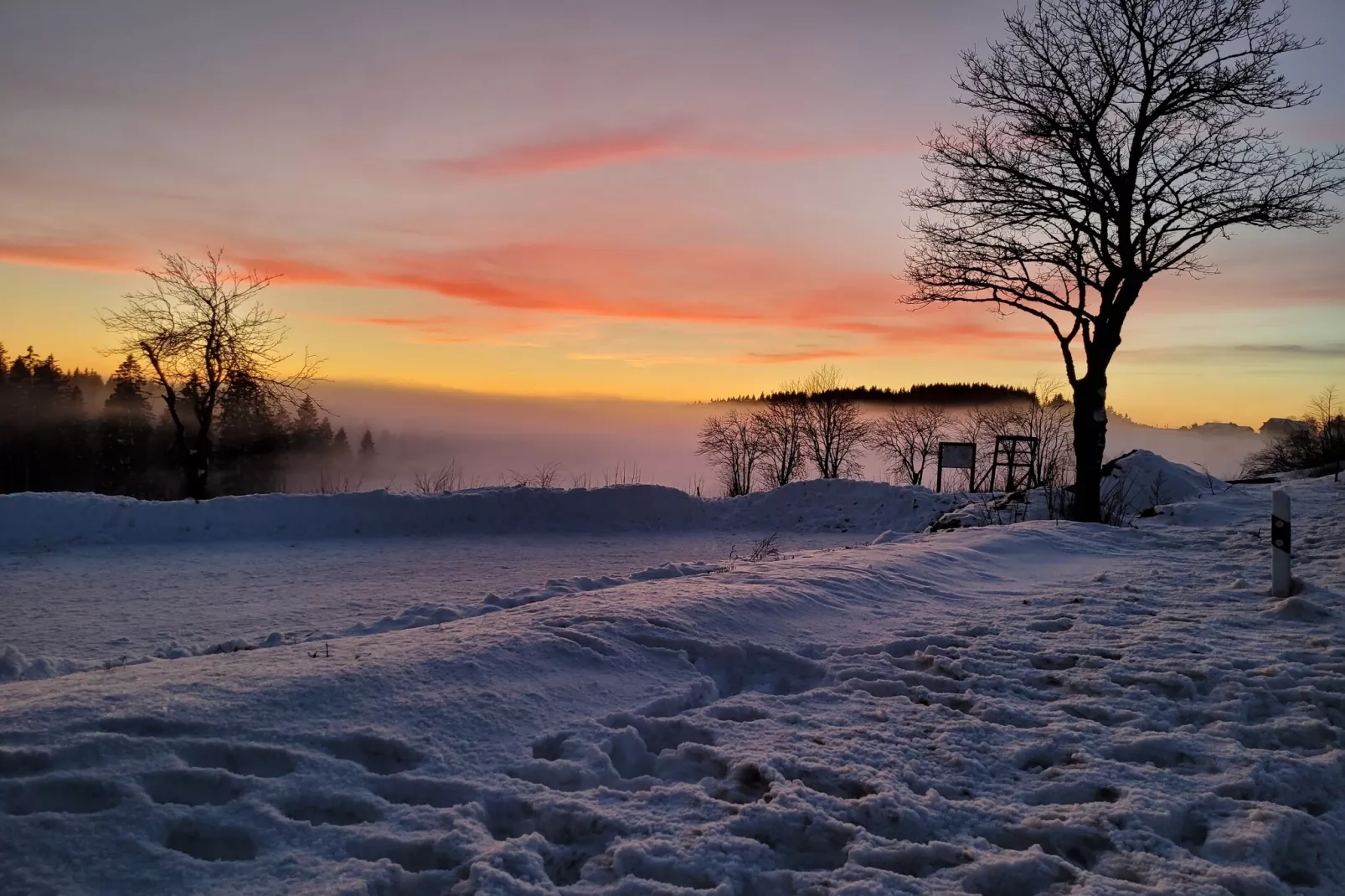 Zum Kahlen Asten-Area winter 5km