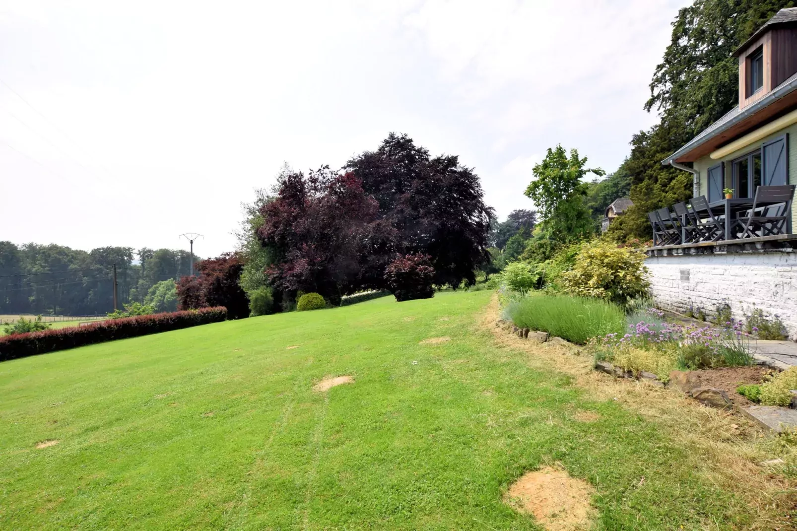 Lumen 5-Gardens summer
