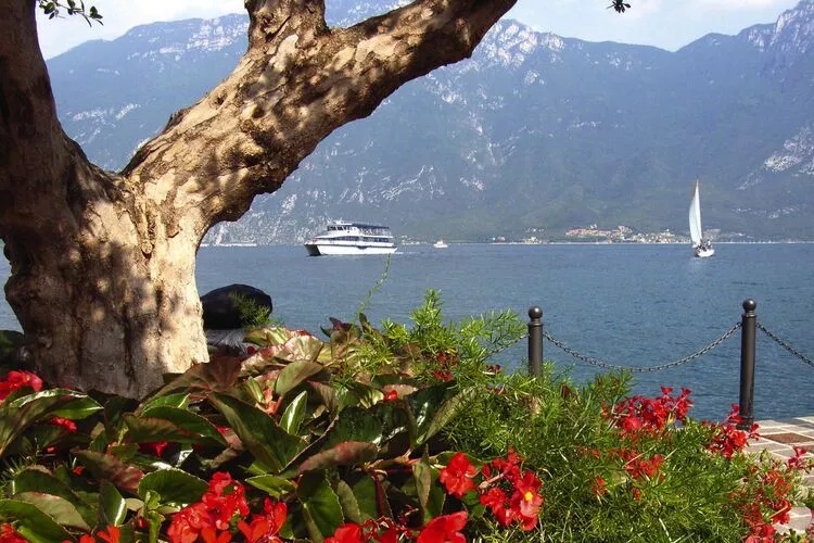 Residence Oasi, Limone sul Garda-bilo-Water view