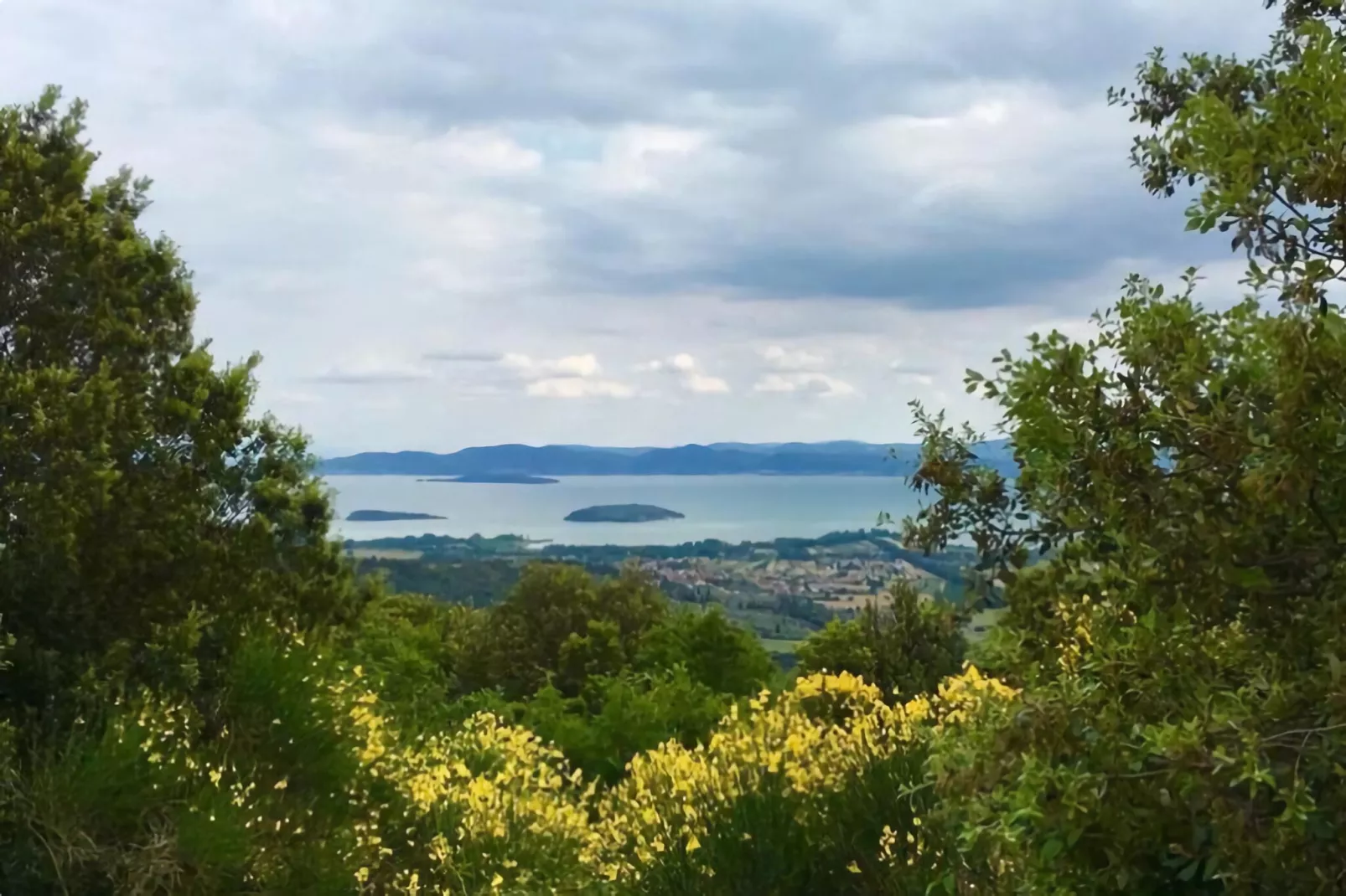 Camping Punta Navaccia 1 - MH Standard-Areas summer 20km