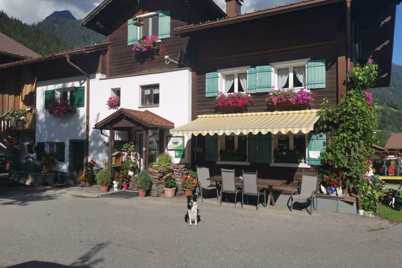 Ferienhaus Bodnerhof-Exterior summer