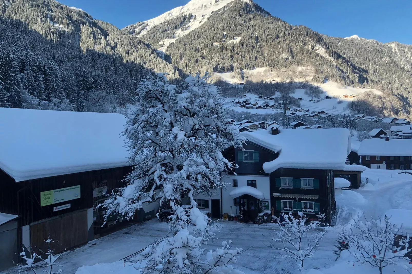 Ferienhaus Bodnerhof-View winter