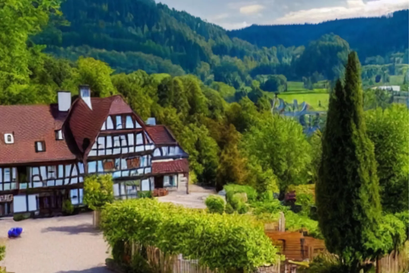Ferienhaus Bodnerhof-Areas summer 1km