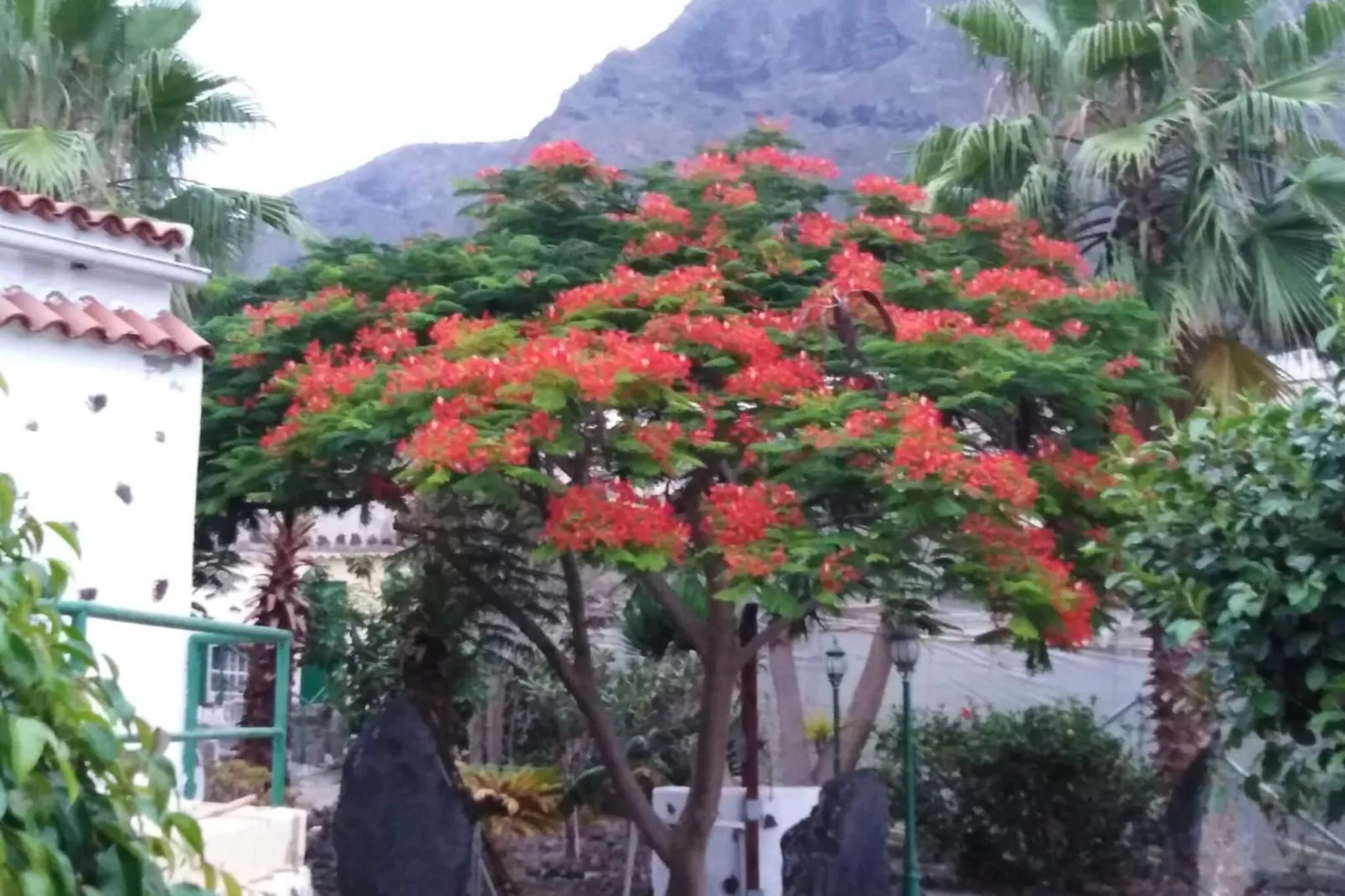 Casa El Cardon B1' with Sea & Mountain View-Gardens summer