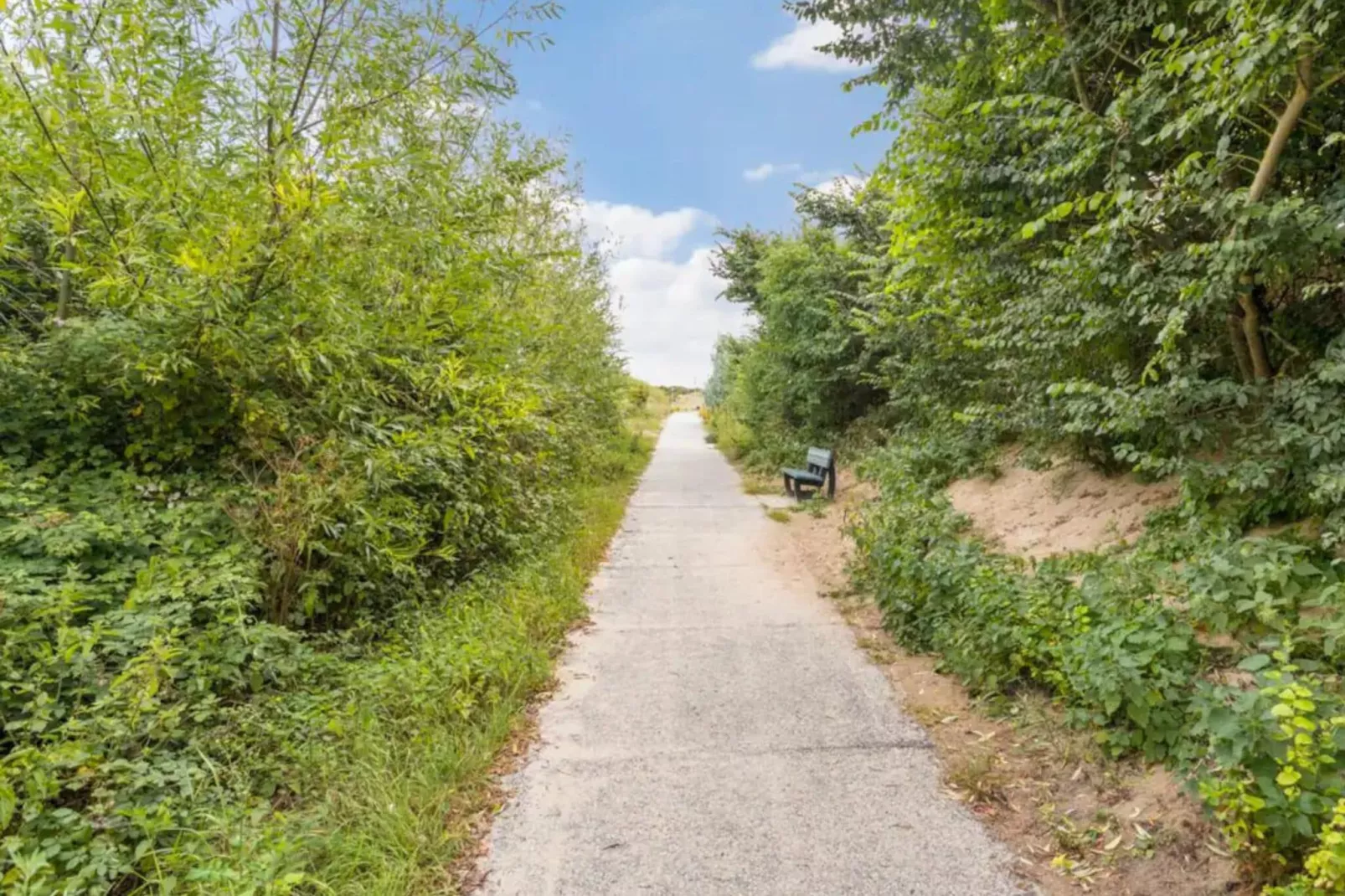 Duinweg 18-5-Areas summer 1km