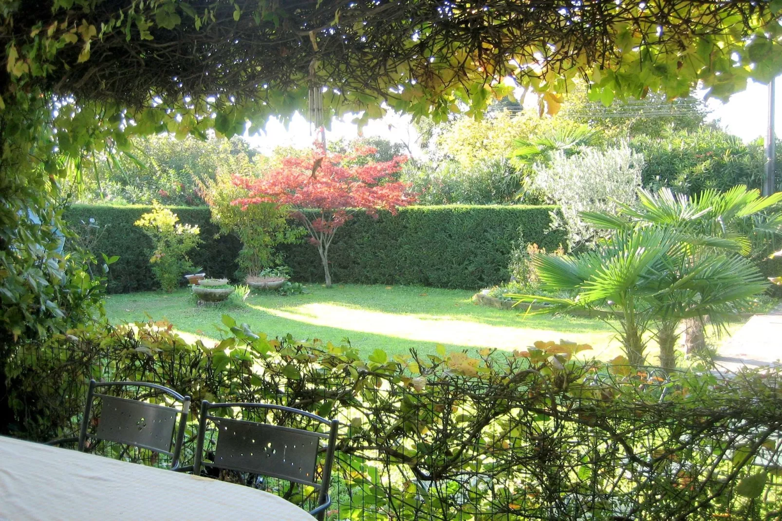 Villa Serena-Gardens summer