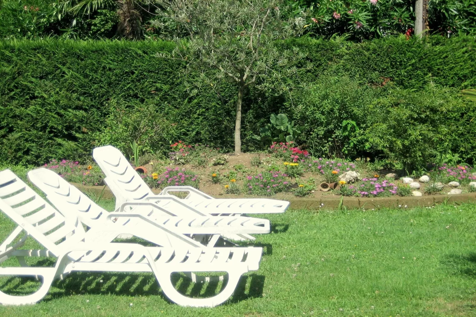 Villa Serena-Gardens summer