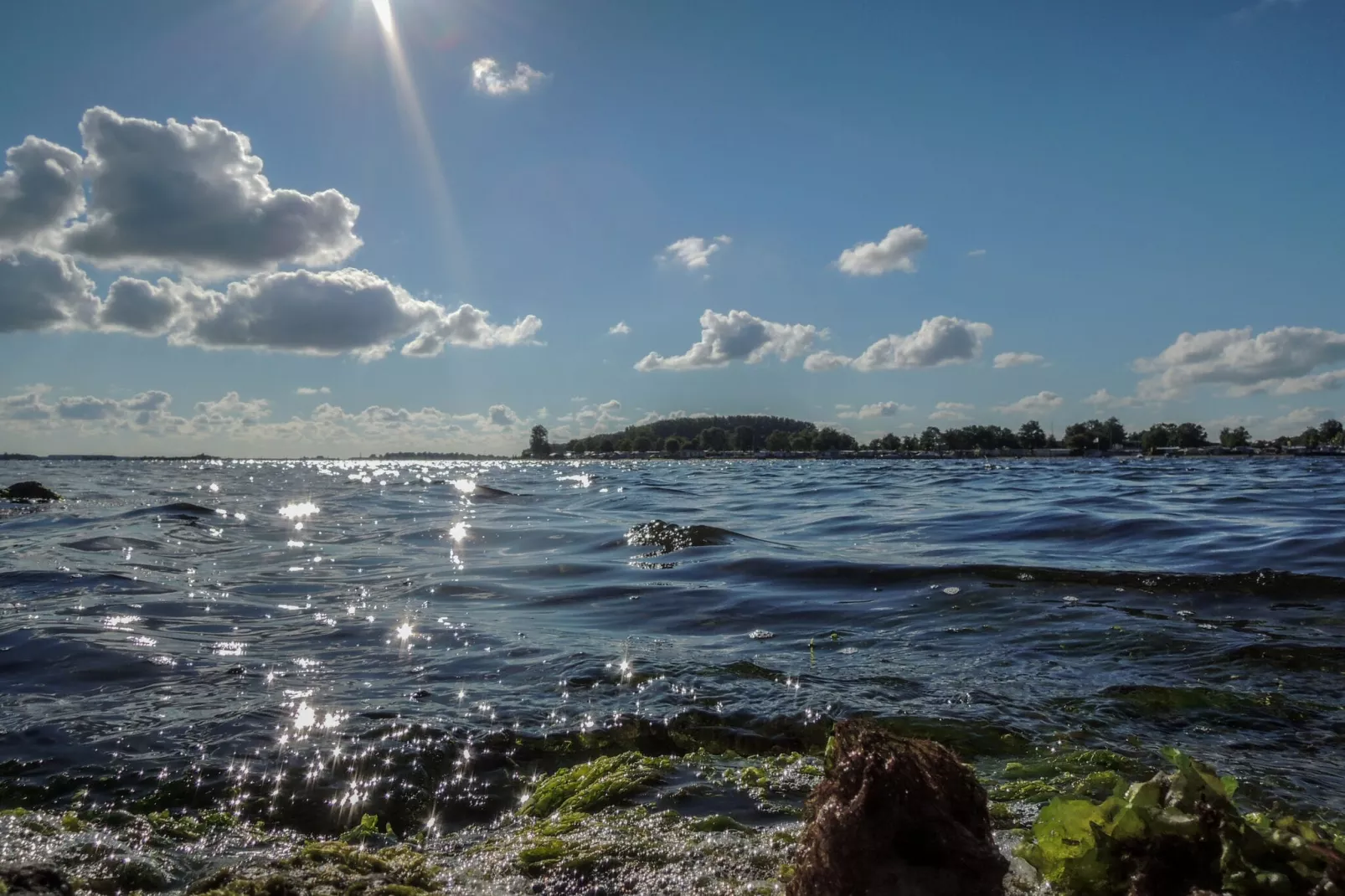 Het Koetshuys-Gebiete Sommer 5 km