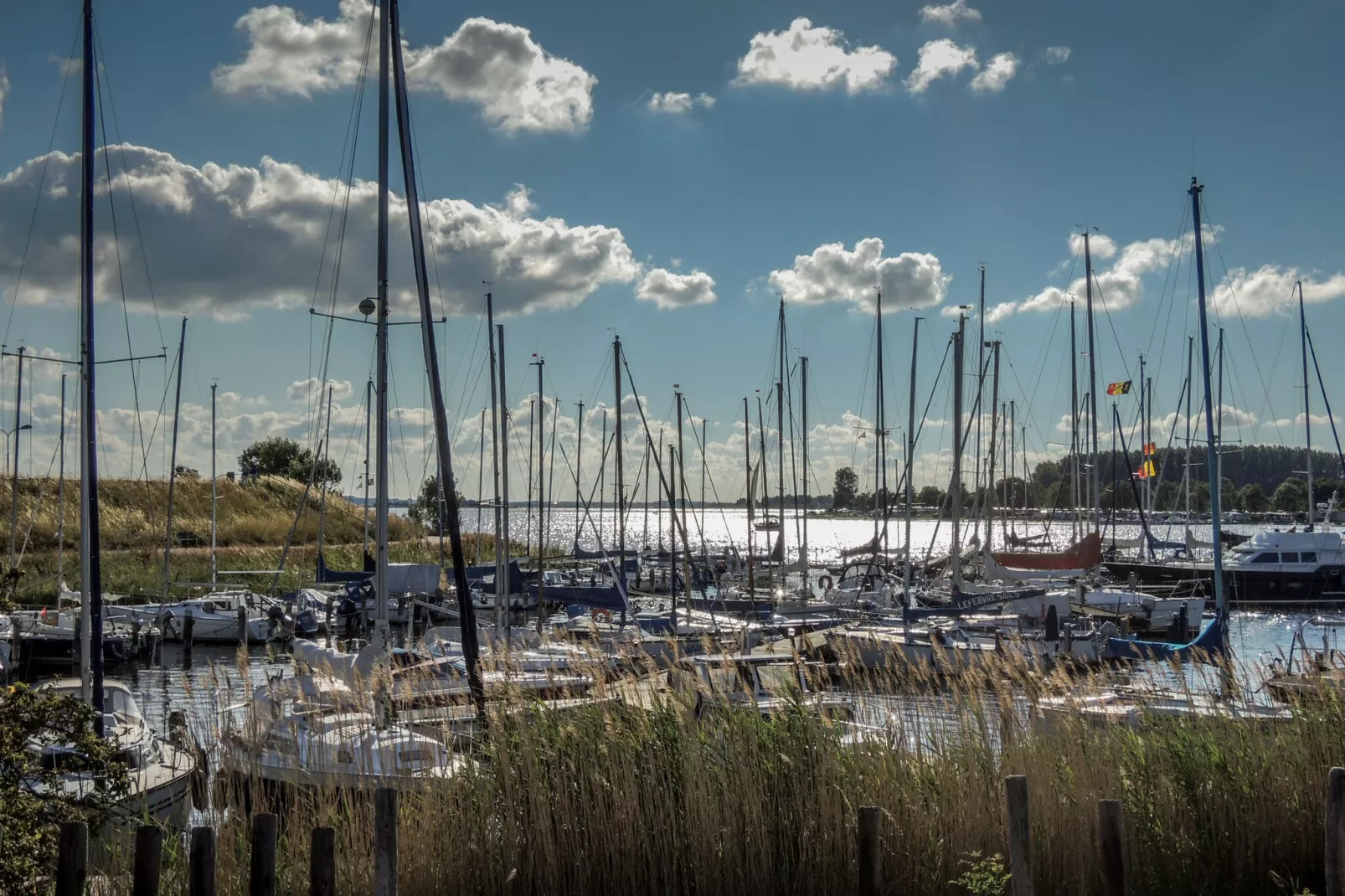Het Koetshuys-Gebiete Sommer 5 km