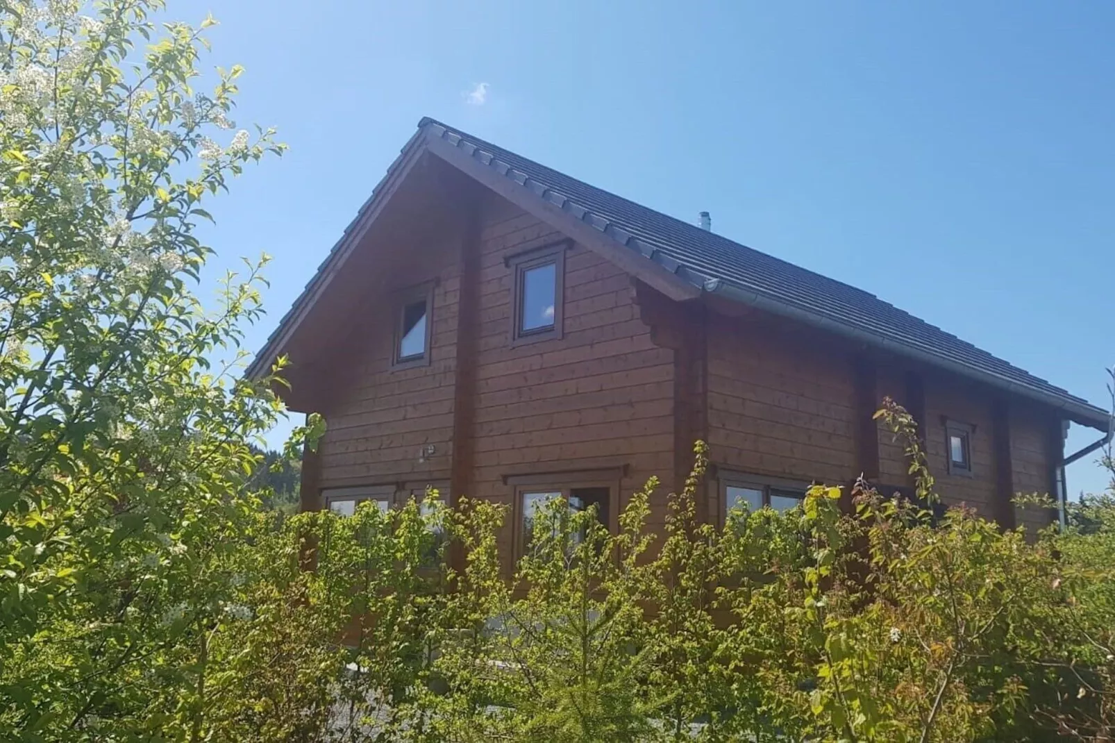 Ecolodge 2-Exterior summer