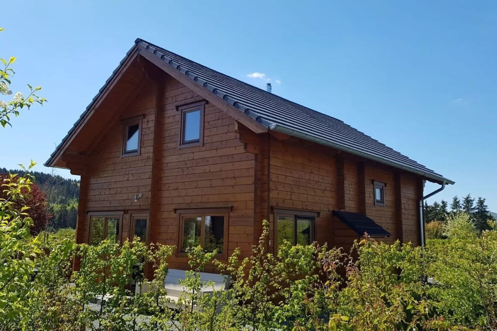 Ecolodge 2-Exterior summer