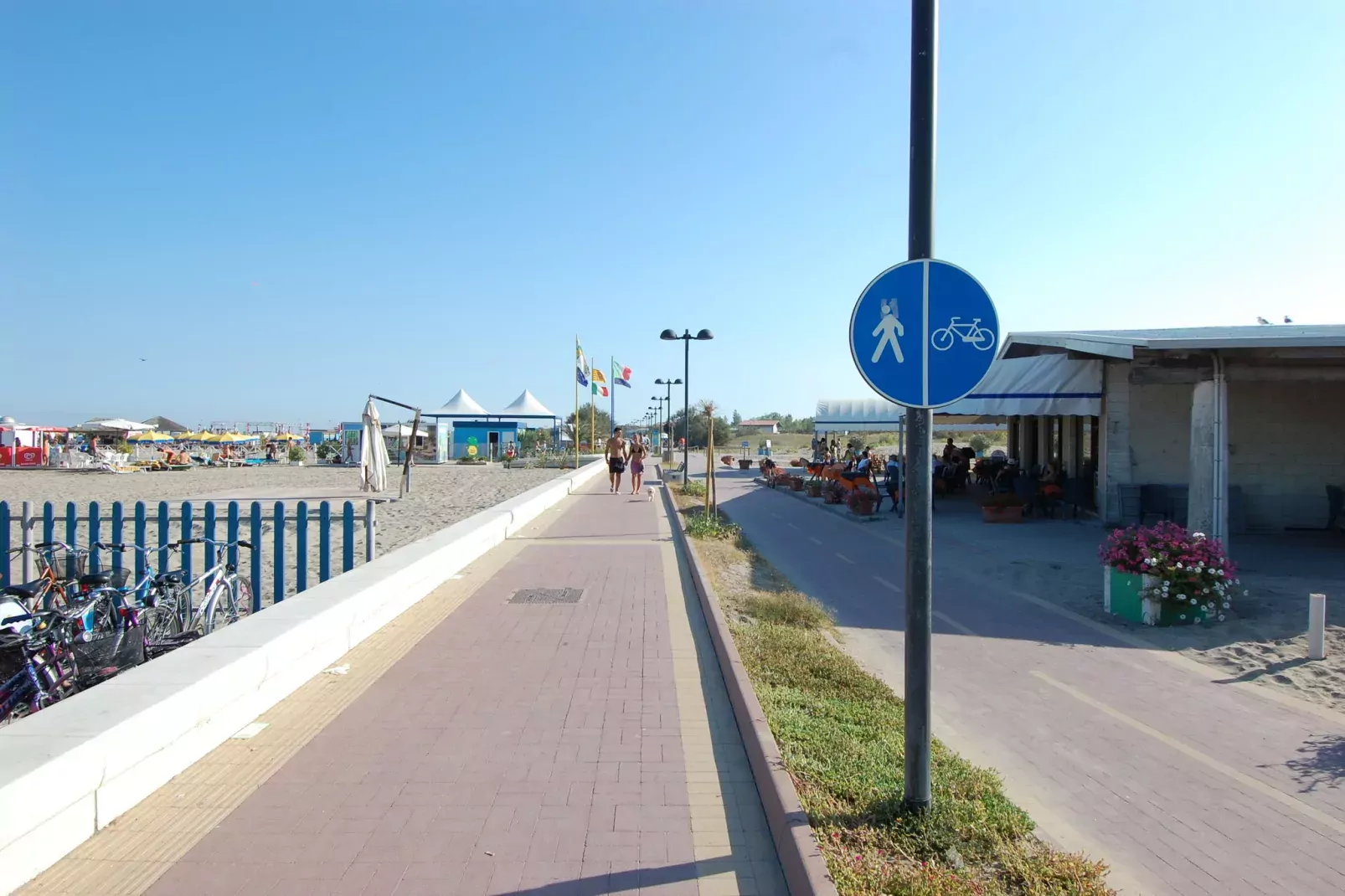 MEF Tre-Areas summer 1km