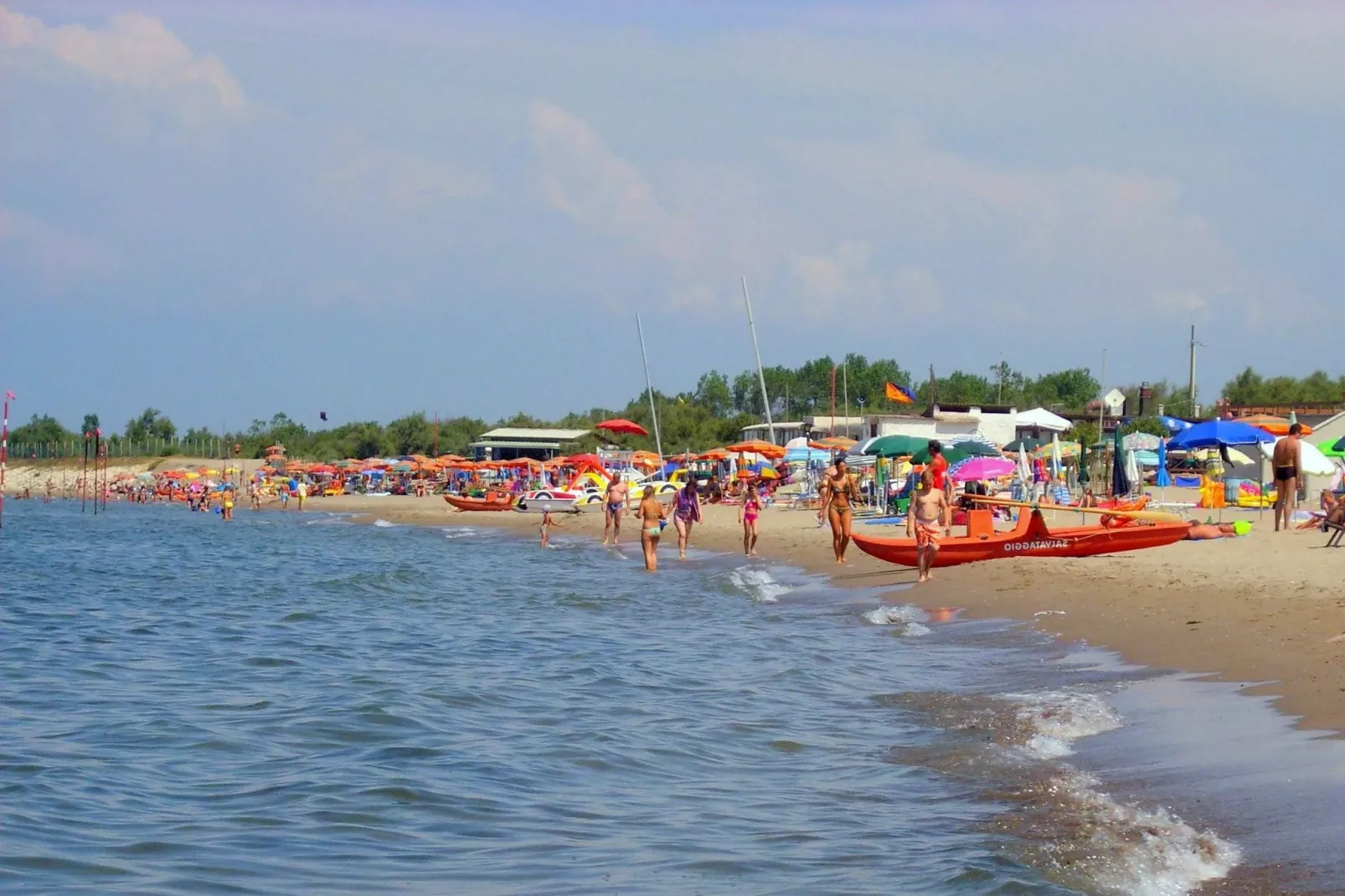 MEF Tre-Areas summer 1km