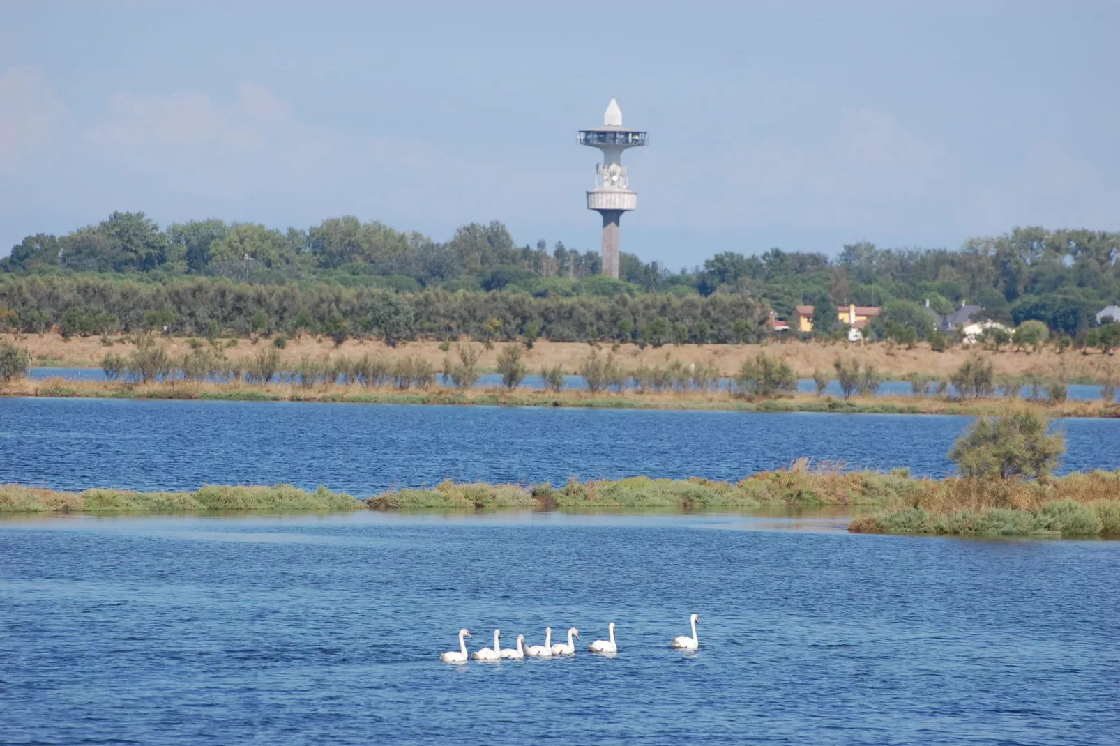 MEF Tre-Areas summer 5km