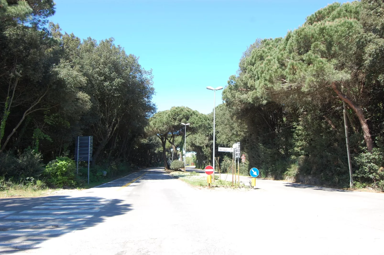 MEF Tre-Areas summer 1km
