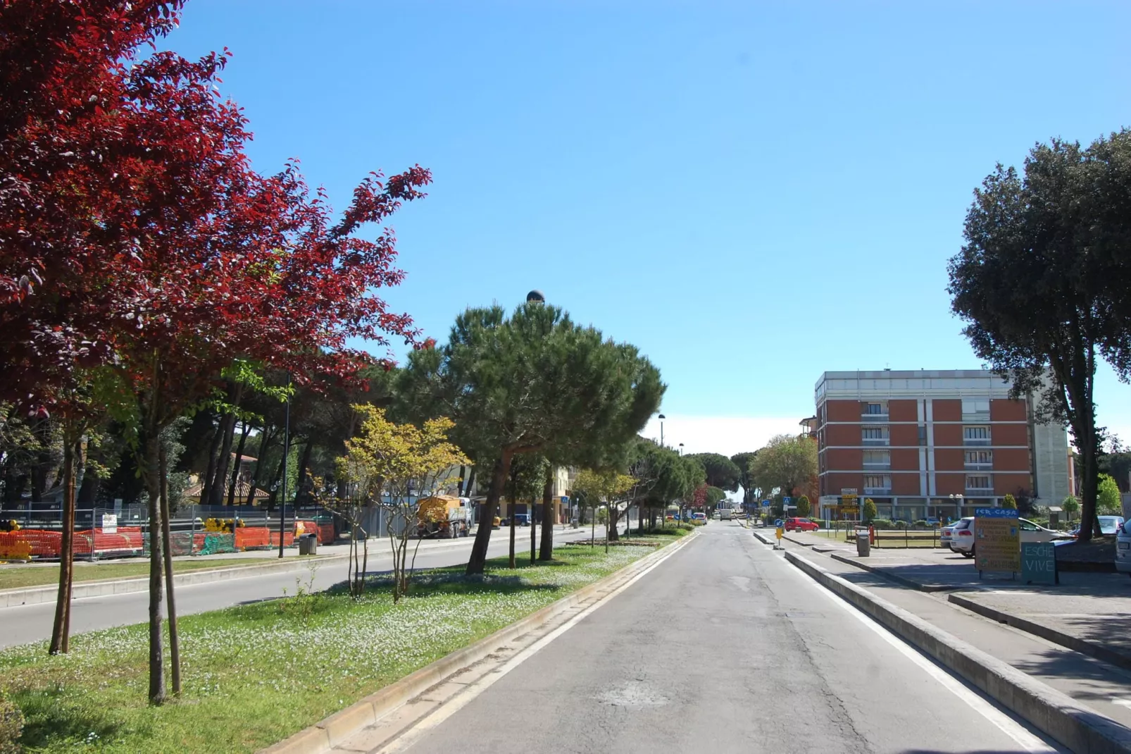 MEF Tre-Areas summer 1km