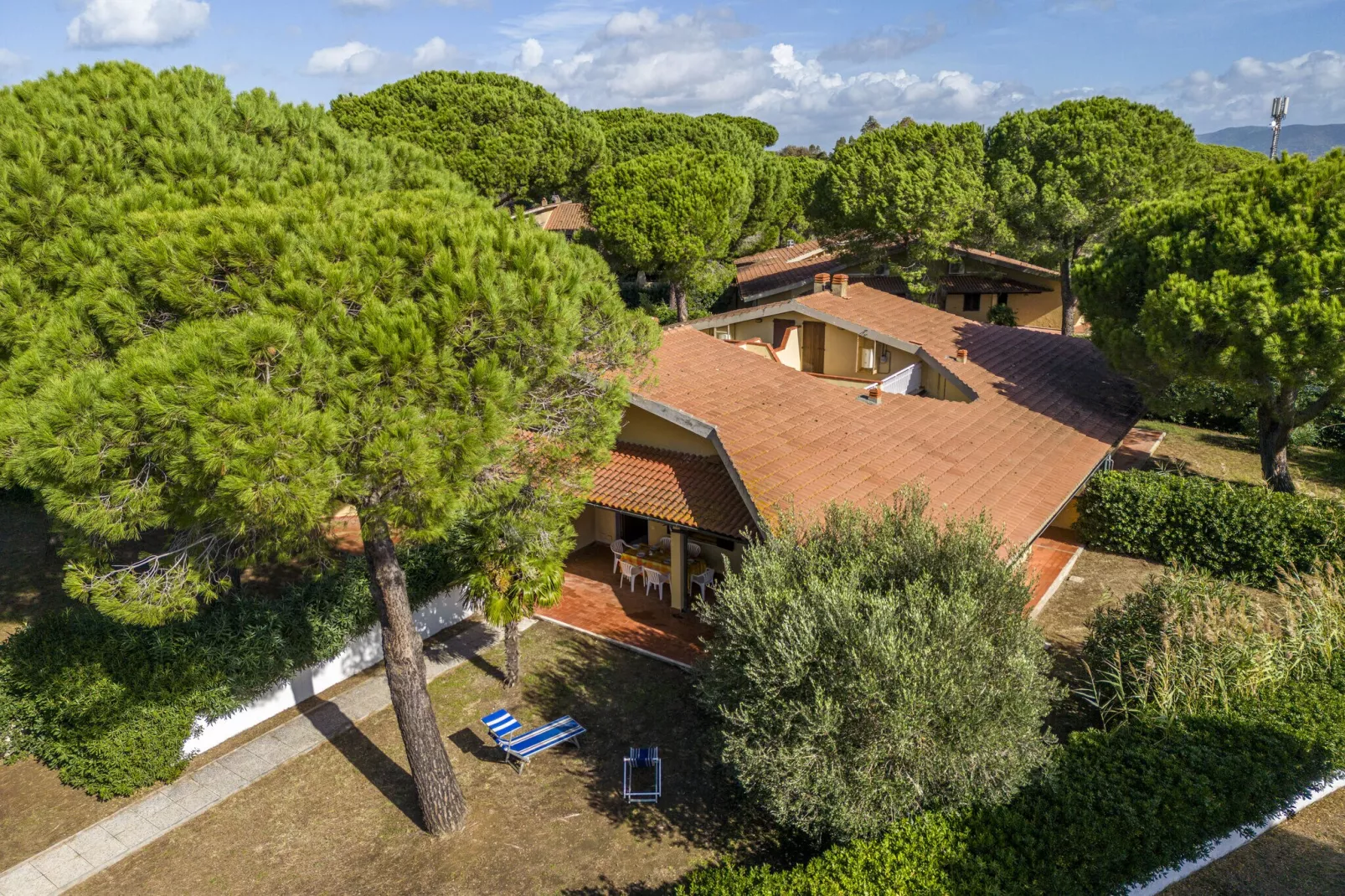 Marangone-Areas summer 1km