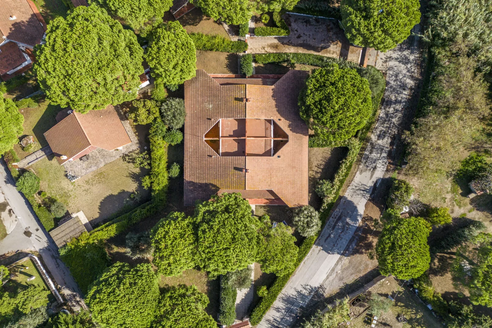 Marangone-Areas summer 1km