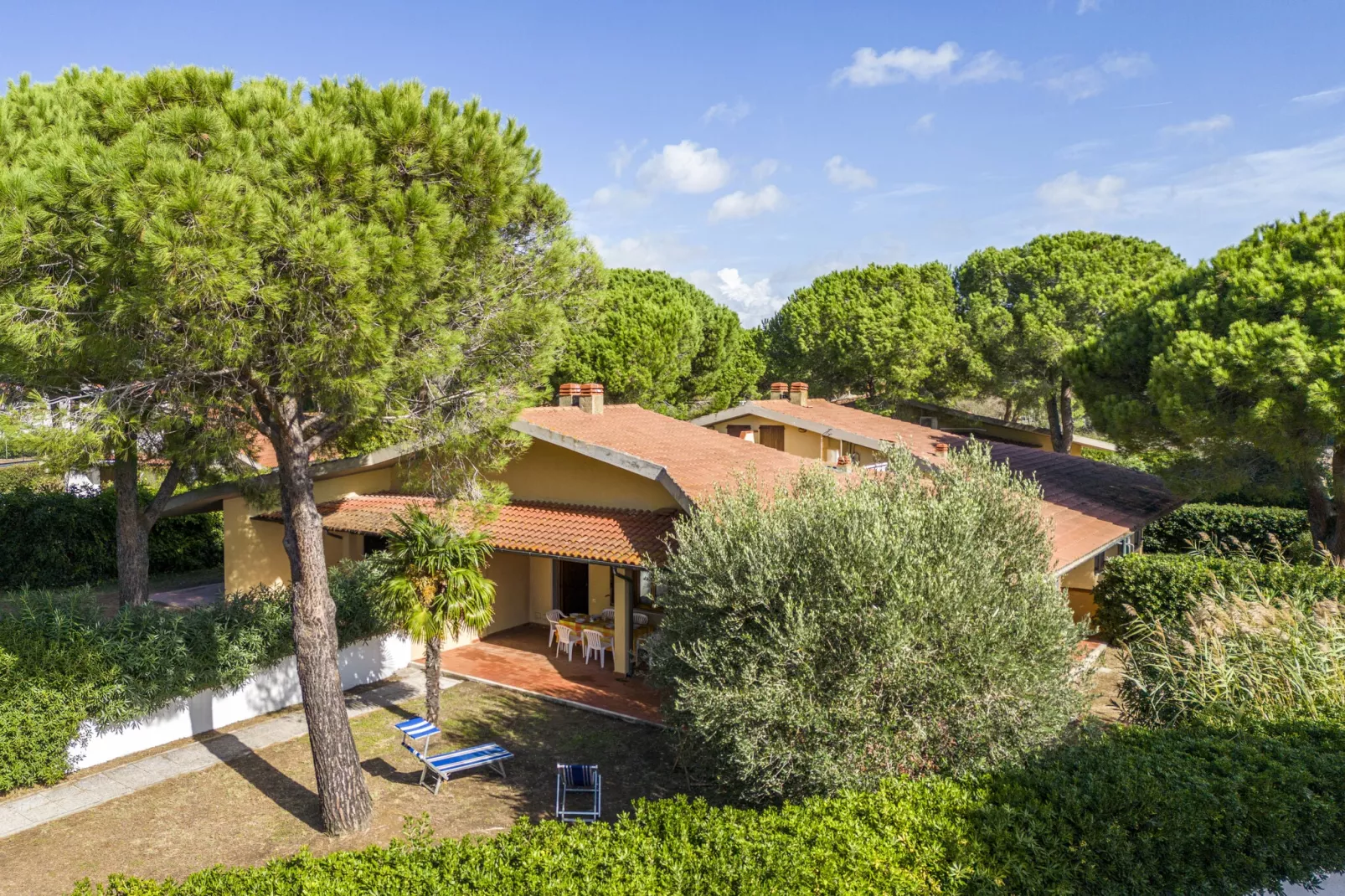 Marangone-Areas summer 1km