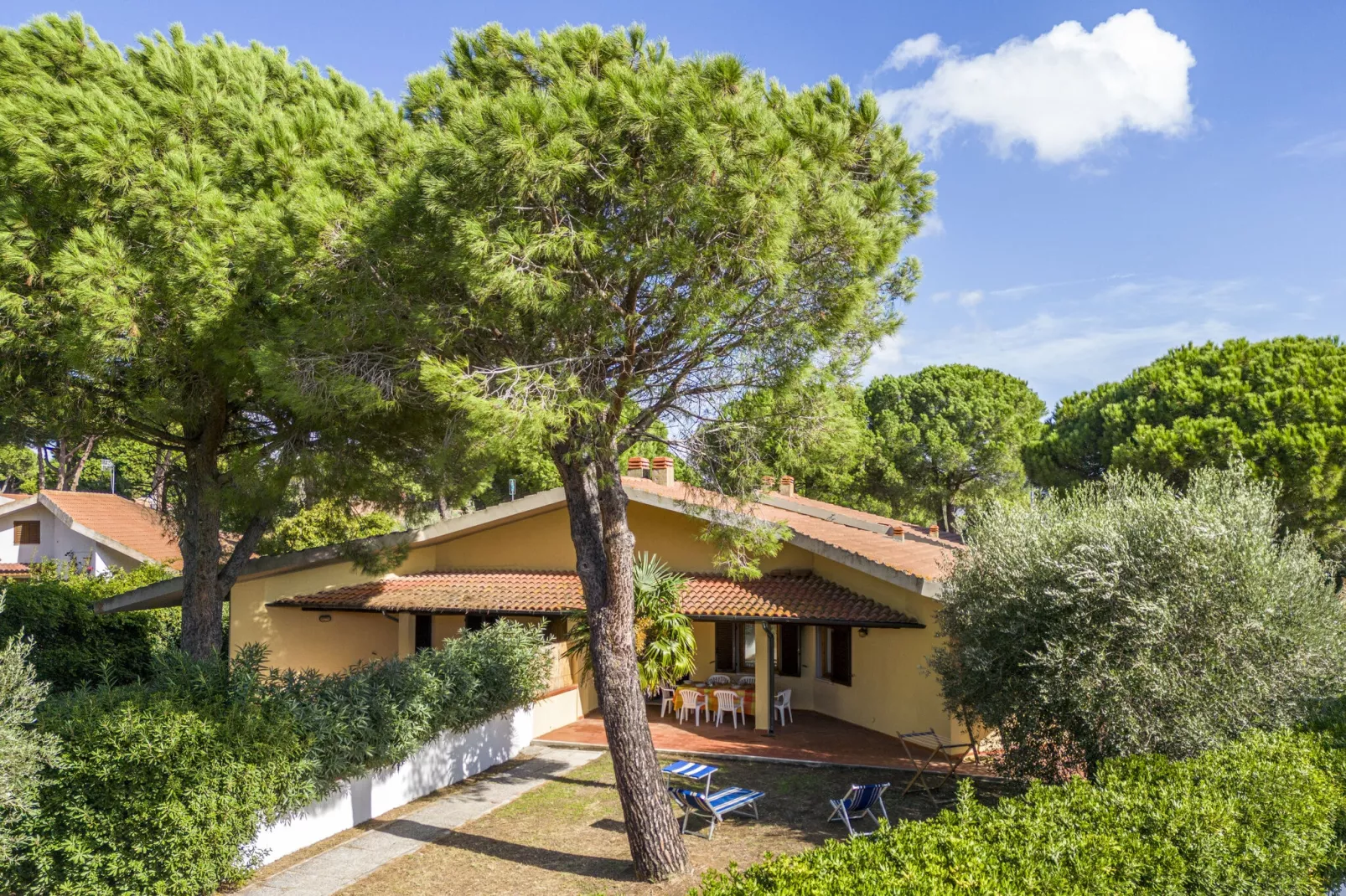 Marangone-Areas summer 1km