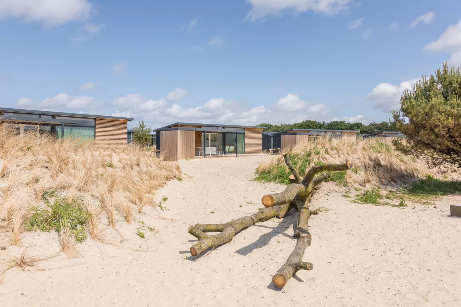 Sea Lodges Ameland 4-Areas summer 1km