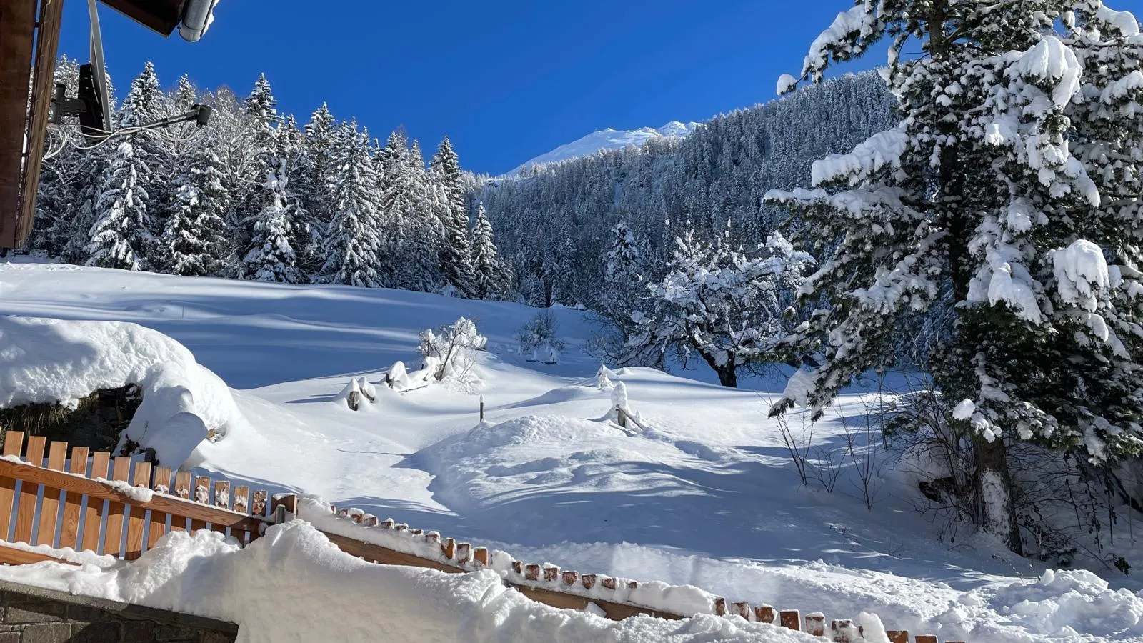 Ferienhaus Wolf-View winter