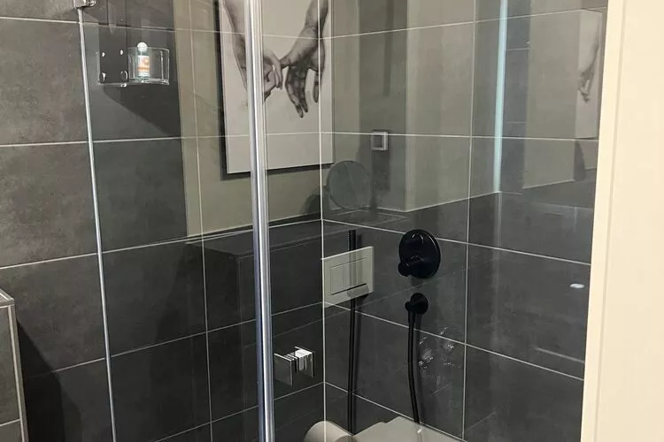 Wohnung Bi de Wyk D1B 4 Personen-Bathroom