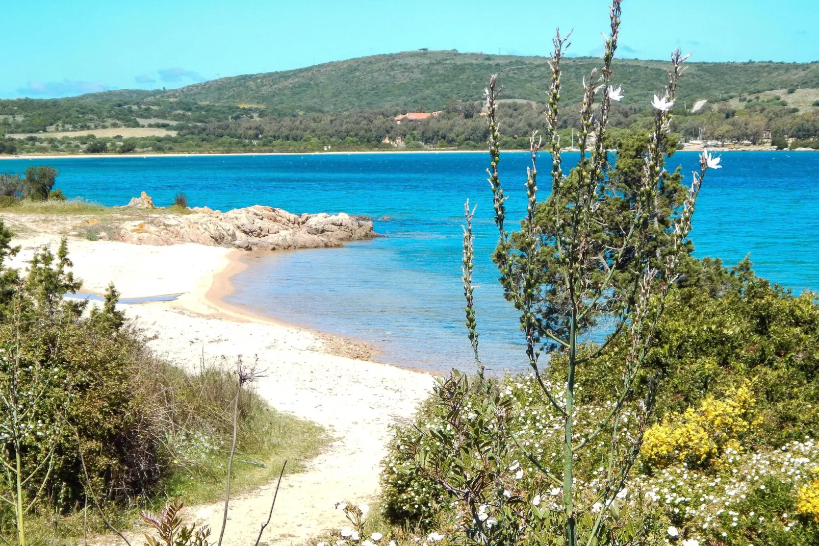 Studio Cannigione - Type Mono La Costa Mare-Areas summer 1km