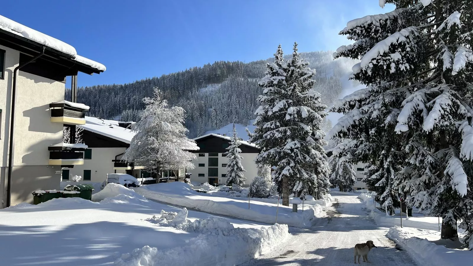Jungfrau-Zone d'hiver à 1 km
