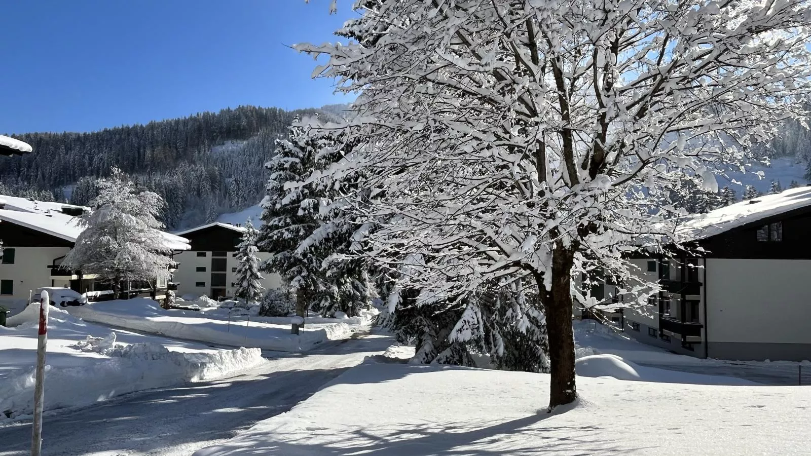 Jungfrau-Zone d'hiver à 1 km